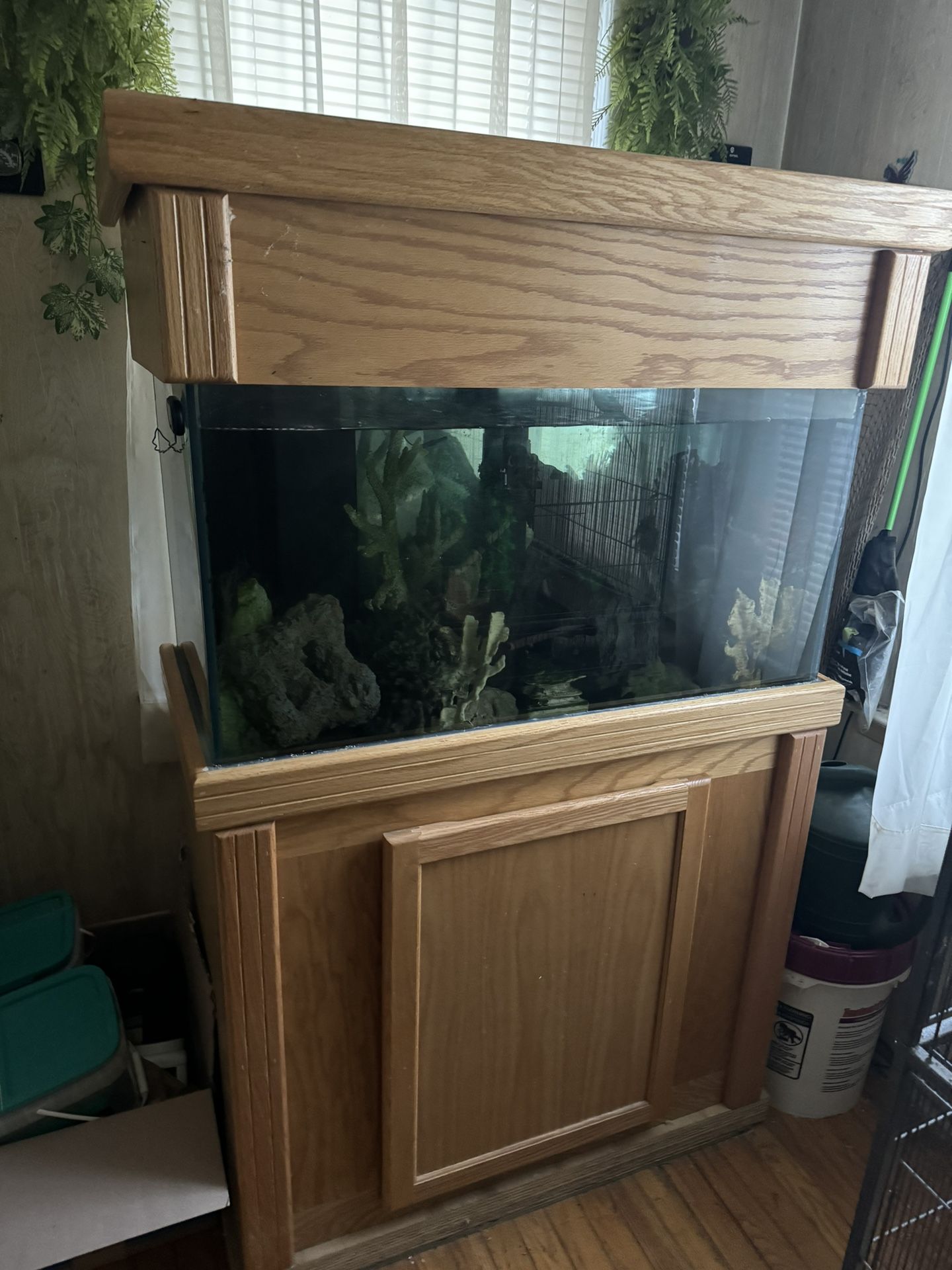 Fish Tanks 80 Gallon