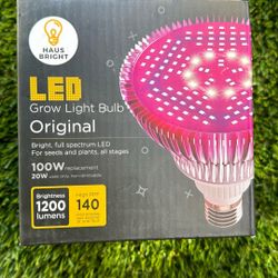 Led Lights 