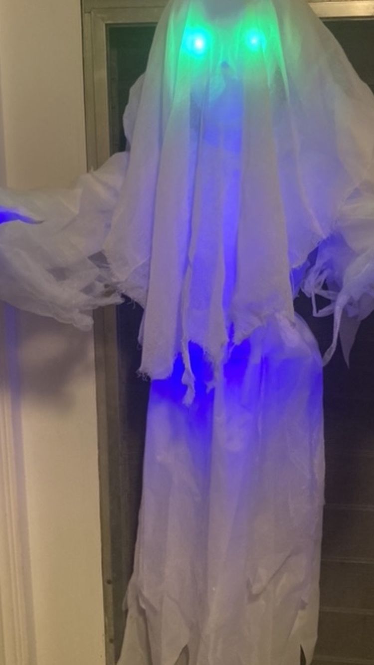 Halloween Estate Sale for Sale in Hinsdale, IL OfferUp