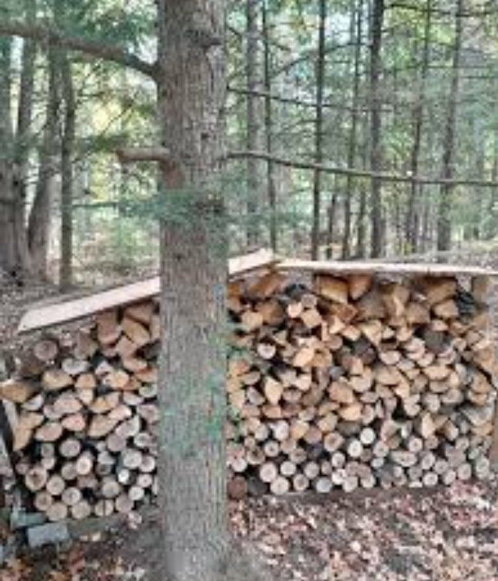 250 Cords Of Firewood Seasoned And Dry