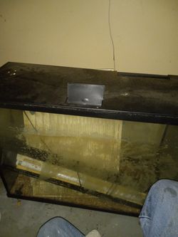 29 Gallon Fish Tank