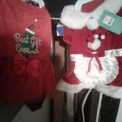Christmas Outfits For Dogs