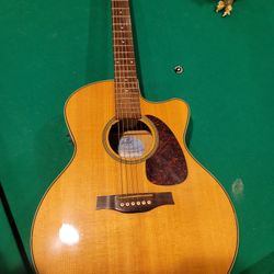 Acoustic Guitar Seagull 
