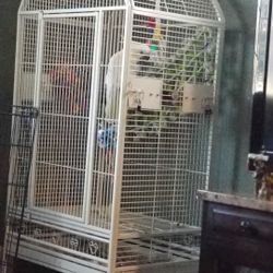 Cage With Accessories 