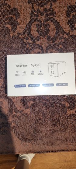 Nanny cam
