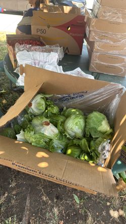 Free Produce Come And Get Bloomington Ca