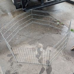Dog Cage 
