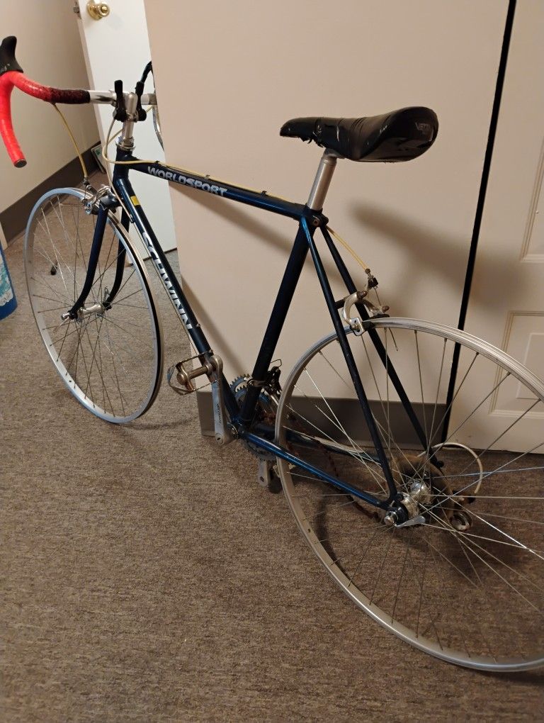 Schwinn Racing Bike