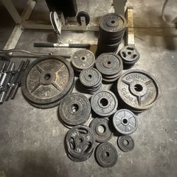 Bench Press