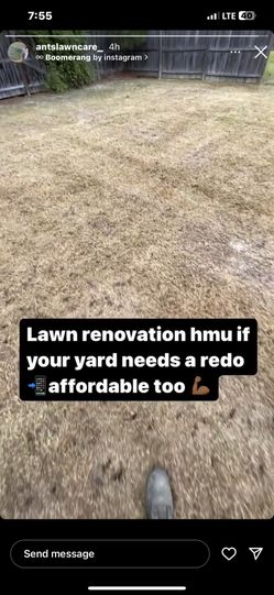 Lawn Renovation