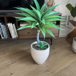 Fake Plant 