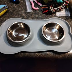Dog Bowl