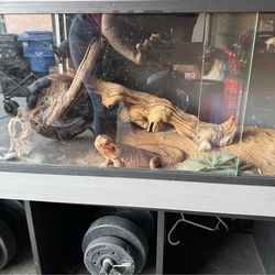 Reptile cage