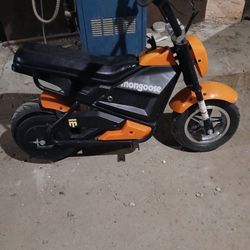 Mangoes mini electric bike For Kids