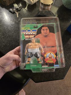 Hasbro WWF wrestling