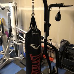 Everlast Punching Bag with Stand, & Speed Bag 