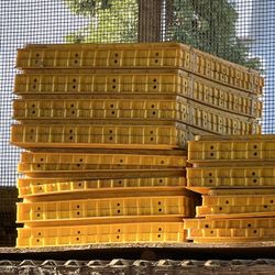 Chicken And Quail Transportation Crate