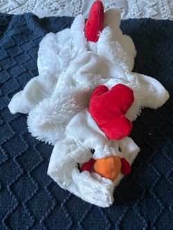 Halloween costume for dogs.  Chicken costume