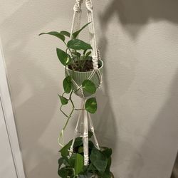 Macrame Double Plant Hanger