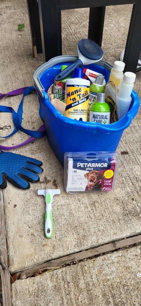 Dog Care Essentials