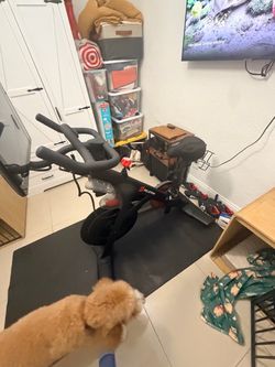 🚨 BARELY USED PELOTON PACKAGE — LIKE NEW! 🚨