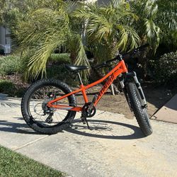 Specialized 20” Fat Tire Mountain Bike – NEW Kenda Knobbies + New Shifter 