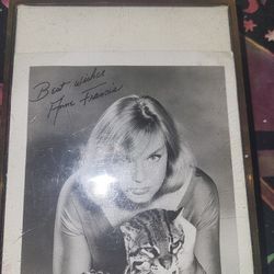 Rare Signed Anne Francis Movie Pic The Phantom 