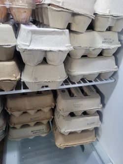 Organic eggs