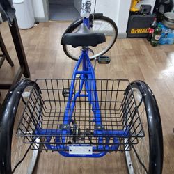 Alameda 26 In 3 Wheel Bike 