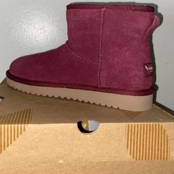 Brand New Kookaburra Uggs