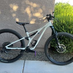 Specialized SJ expert 2022 Carbon Frame Size S1 (small)