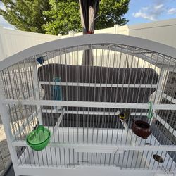 Bird Cage