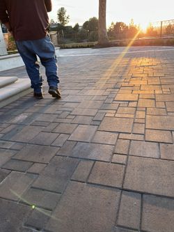 Landscaping , Pavers , Drip System