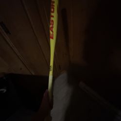 31 Inch Easton USA Bat 