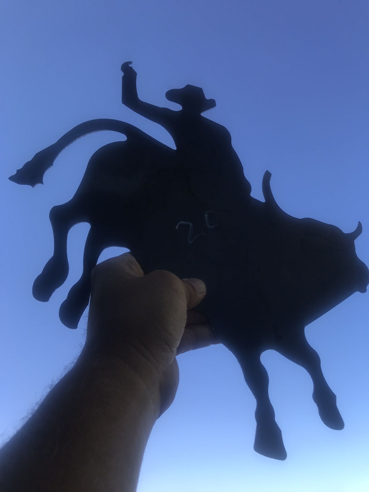 Steel silhouettes these n more