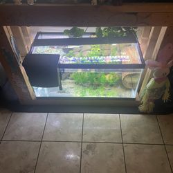 40 Gallon Fish Tank