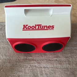 Igloo Cooler