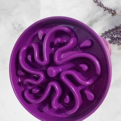 Eat Slower Puppy Plate Bowl