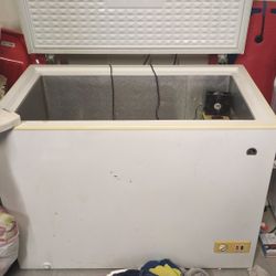 Igloo Chest Freazer