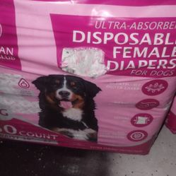 Dog Diapers