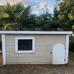 Dog House 