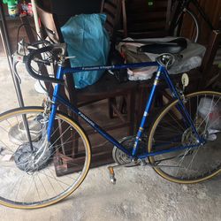 Panasonic Village Bike