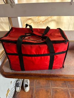 Travel safety bag