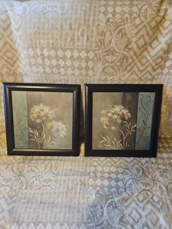 Set of 2 Framed Botanical Floral Art Prints