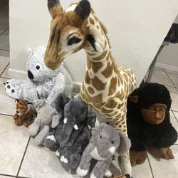 Stuff Animals