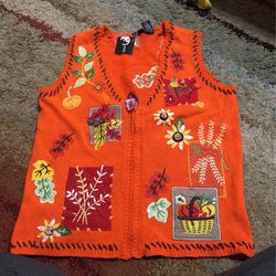 Fall Knitted sweater Vest (SM)