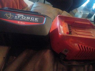 echo  56 volt battery and charger