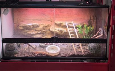 EXO terra reptile tank H18 L36 D18