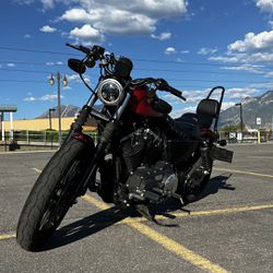 2019 Harley Davidson Iron Sportster 883