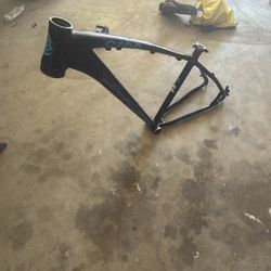 C100 Frame